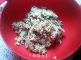 萝卜猪肉水饺的做法步骤：6