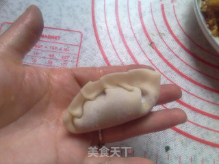 萝卜猪肉水饺的做法步骤：11