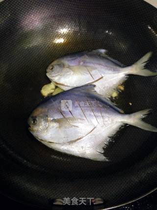 红烧鲳鳊鱼的做法步骤：3