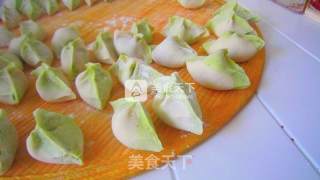 茴香馅翡翠饺子的做法步骤：6