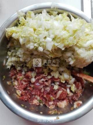 白菜猪肉包子的做法步骤：4
