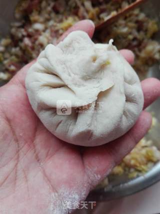 白菜猪肉包子的做法步骤：9