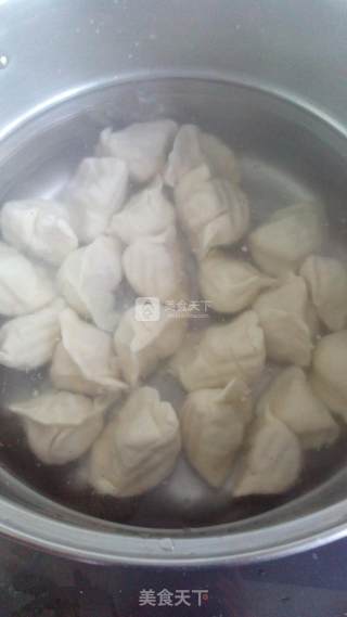 胡萝卜芹菜猪肉水饺的做法步骤：14