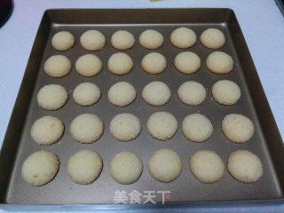 蛋黄椰蓉酥的做法步骤：12