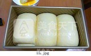 好酵头做出好吐司——波兰酵种吐司的做法步骤：15