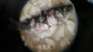 杏鲍菇鲫鱼汤的做法步骤：4