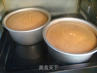 蔓越莓戚风蛋糕的做法步骤：15