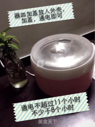 宝宝无添加酸奶的做法步骤：6