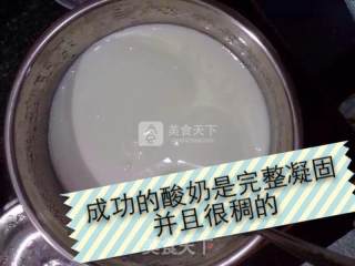 宝宝无添加酸奶的做法步骤：7