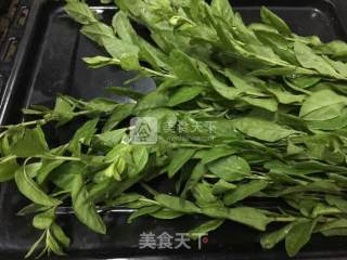 粥底枸杞叶猪肝汤的做法步骤：7