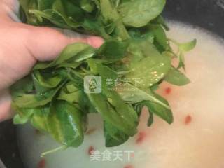粥底枸杞叶猪肝汤的做法步骤：9