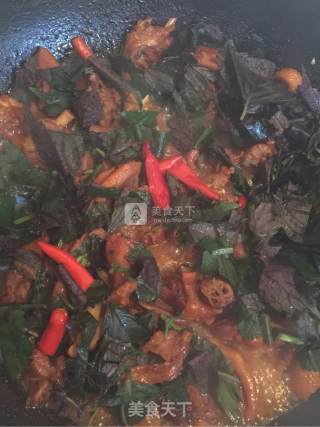 紫苏炒鸭的做法步骤：7