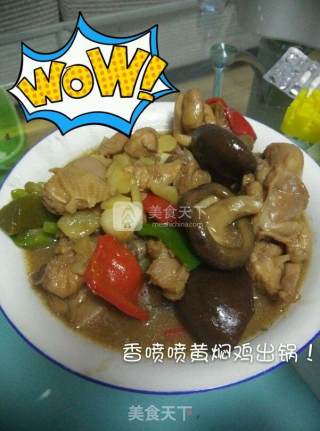 黄焖鸡的做法步骤：8