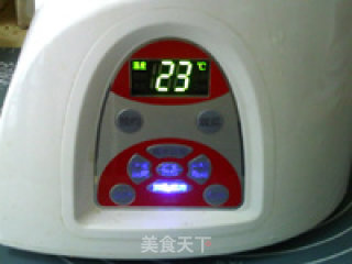 栗子黑黄豆浆的做法步骤：15