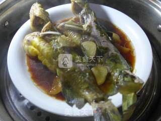 清蒸黄刺鱼的做法步骤：7