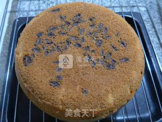 葡萄干海绵蛋糕的做法步骤：14