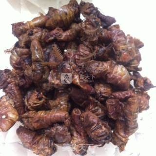 干煸东北蛾的做法步骤：3