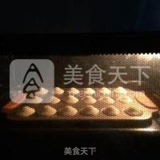 玛德琳蛋糕的做法步骤：12