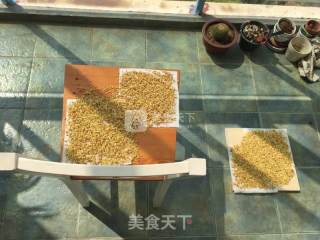 桂花蜜的做法步骤：4