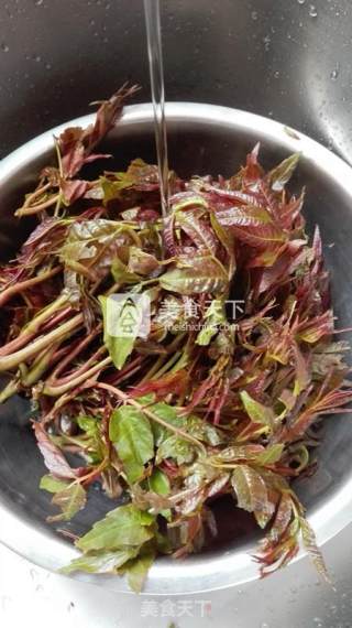腌香椿芽的做法步骤：1