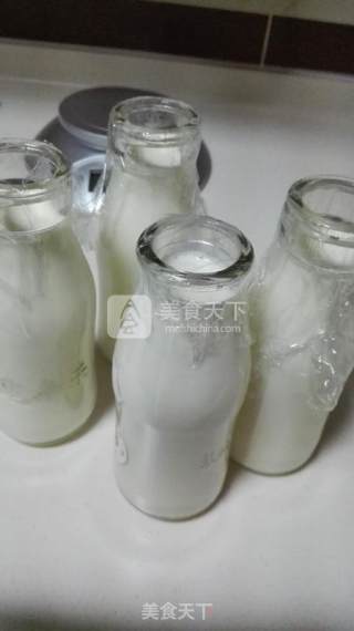 自制老酸奶的做法步骤：6