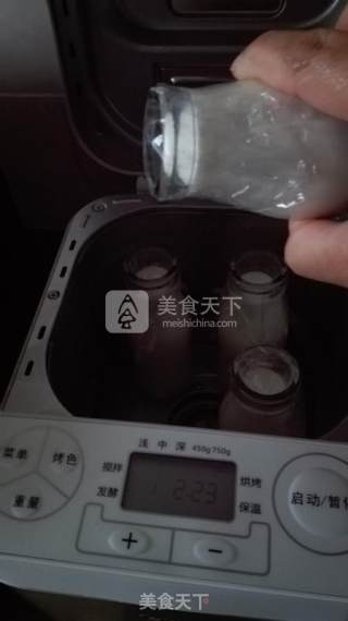 自制老酸奶的做法步骤：8