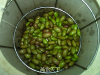 鲜黑豆豆浆的做法步骤：5