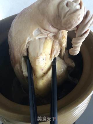 猪肚鸡的做法步骤：5