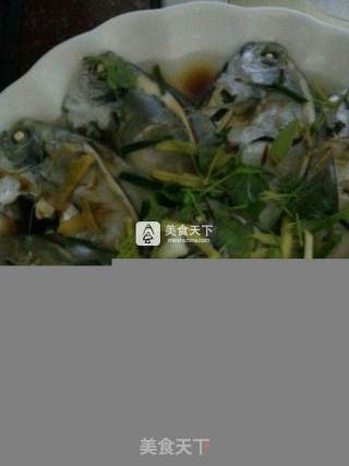 清蒸小鲳鱼的做法步骤：8