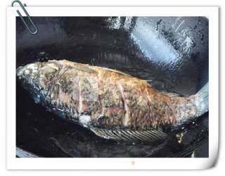 五花肉焖鲫鱼的做法步骤：6