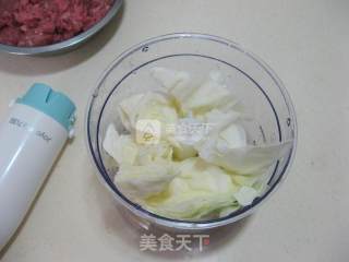 牛肉包菜馄饨的做法步骤：3