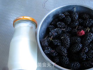 桑葚奶昔的做法步骤：1
