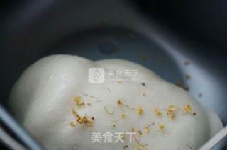 桂花糖年糕的做法步骤：7