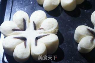 奶香豆沙面包的做法步骤：13