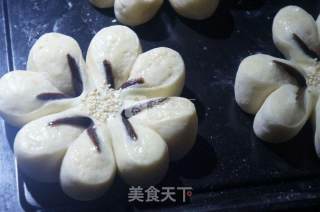 奶香豆沙面包的做法步骤：14