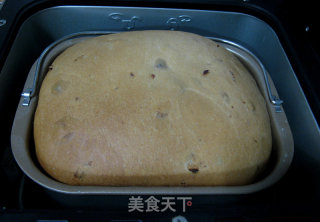 淡奶油蔓越莓大吐司的做法步骤：9