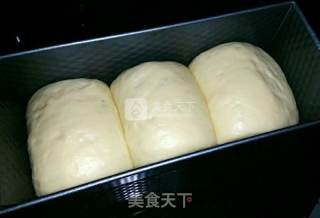 牛奶土司的做法步骤：7