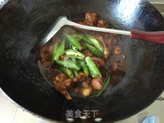红烧鸡块的做法步骤：9