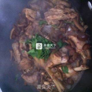 小鸡炖滑子蘑的做法步骤：7