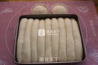 奶酪肉松排包（中种法）的做法步骤：10