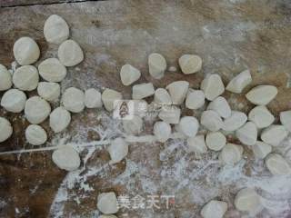 韭菜粉丝麻叶子扁食的做法步骤：13