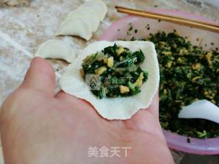 韭菜粉丝麻叶子扁食的做法步骤：16