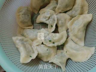 韭菜粉丝麻叶子扁食的做法步骤：19