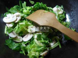 芹菜炒蘑菇的做法步骤：4