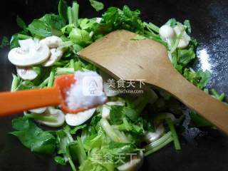 芹菜炒蘑菇的做法步骤：5