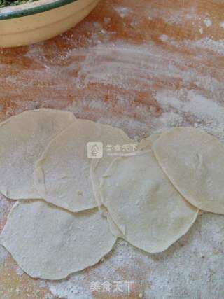 香菜饺子的做法步骤：4