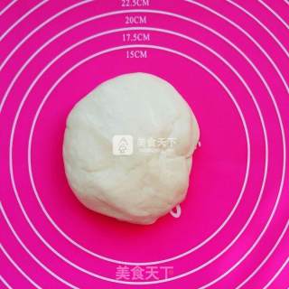 酥掉渣的中式鲜肉酥的做法步骤：11