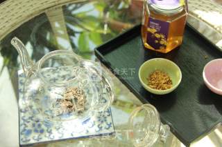 蜂蜜桂花白茶的做法步骤：1