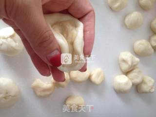 蛋黄酥的做法步骤：4