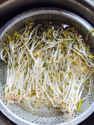 瓶发绿豆芽的做法步骤：9